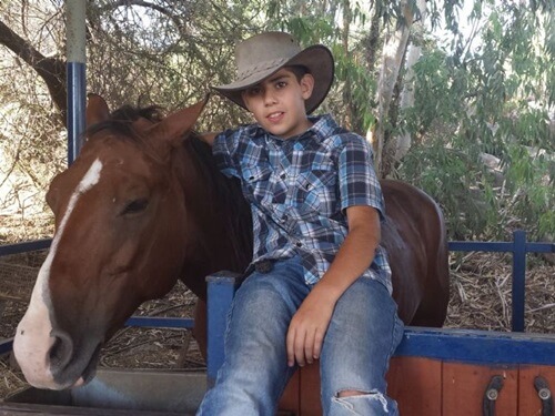 ורד הגליל- חוות סוסים